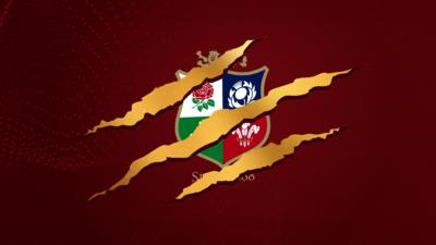Lions graphic