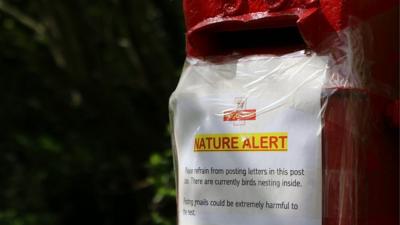 Postbox with Royal Mail notice