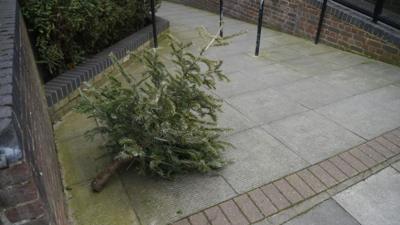 A sad Christmas tree