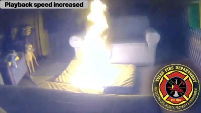 Dog looking at mattress on fire