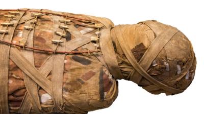 A mummified body