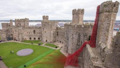 Poppies at Caernarfon CAstle