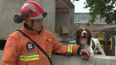 Fire service dog handler Graham Currie with Kirby