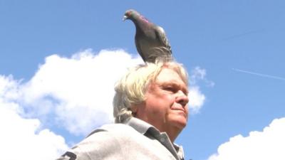 Terry Davis and Stevie the pigeon