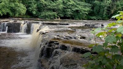 Aysgarth Falls