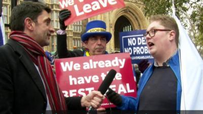 Brexit protesters