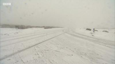 A snowy road in a blizzard