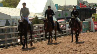 Some of the 100,000 visitors expected at NI's biggest agricultural festival share their highlights.