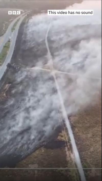 New Forest fire