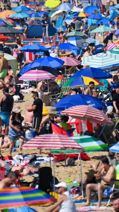 A beach covered with people sunbathing and umbrellas