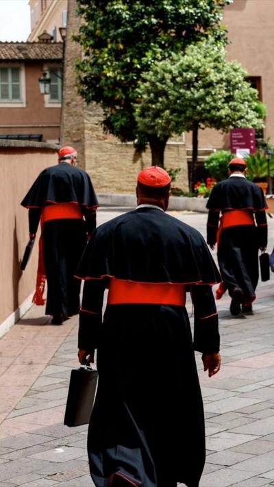 Three cardinals walk down the street. Their backs are to the camera.