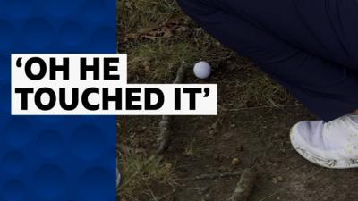 Golf ball behind branch