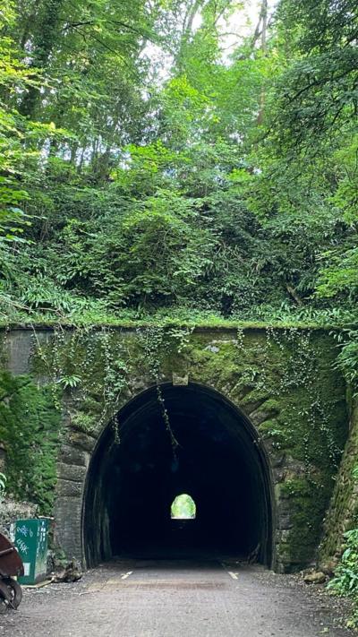 A path runs through an old railway tunnel. The mouth of the tunnel is made of large grey stones, some of which are covered in moss. There's a bank of trees and plants above the mouth of the tunnel.