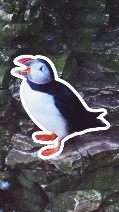 A cut out image of a puffin against a cliff background