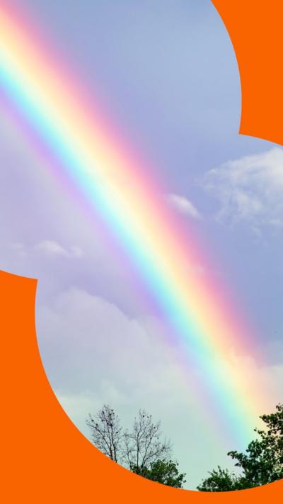 Part of a rainbow is seen brightly in the sky, disappearing behind some trees.