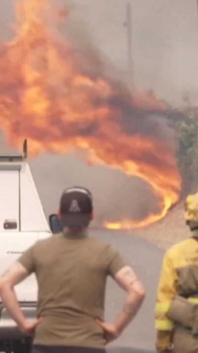 A person and a firefighter watch a flame near the road