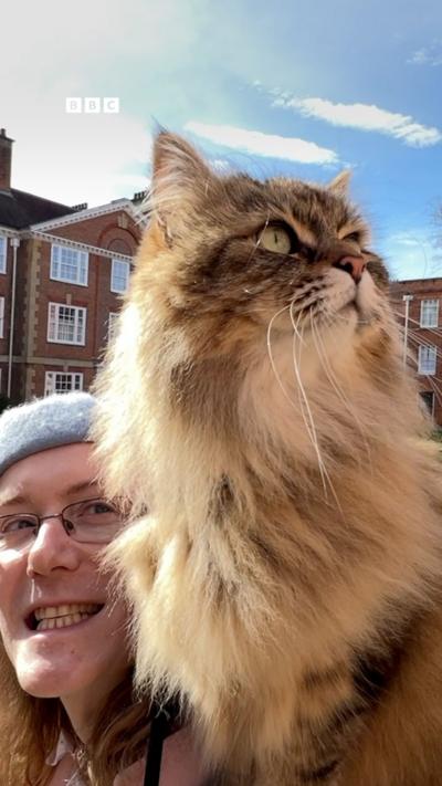 A cat on a persons shoulder