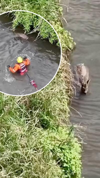 Fire officers made the rescue in Saxilby with support from a drone and boat crew.
