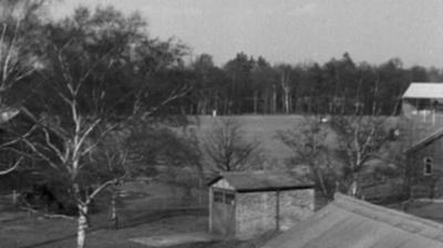Trees, small buildings and fields at Richmond Park, London.