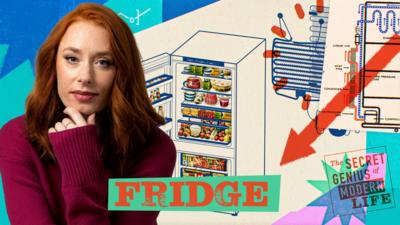 Hannah Fry in front of illustrated artwork of fridges