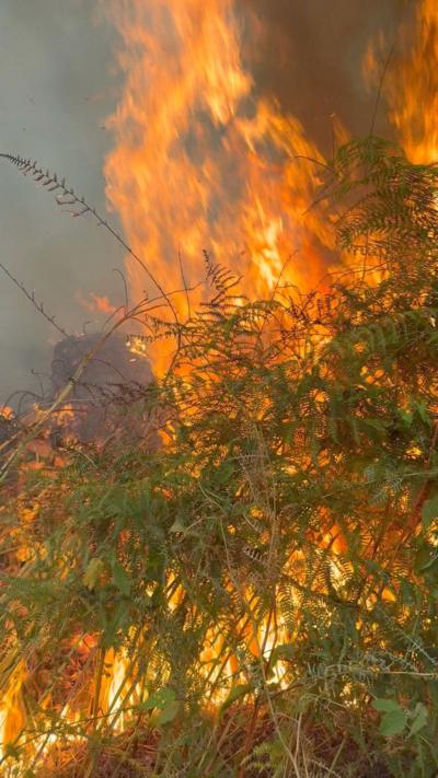A fire burning