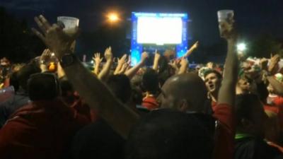 Wales fans in Lille