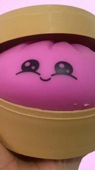 Dumpling squishy