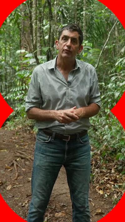 Justin Rowlatt standing in front of a forested area, looking into the camera