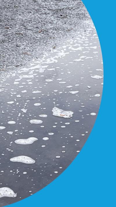 Different sized soap bubbles in a large puddle