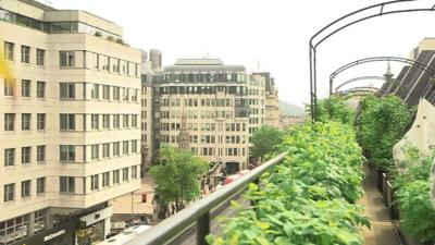 Coutts rooftop garden