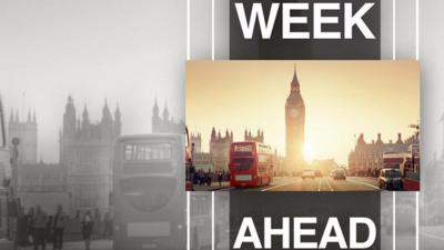 Week ahead graphic