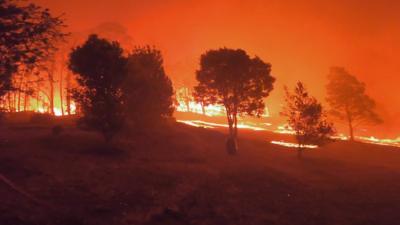 Forest fires in Australia