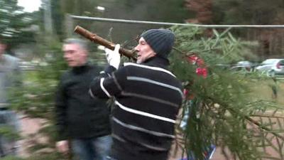 Man throwing Christmas tree