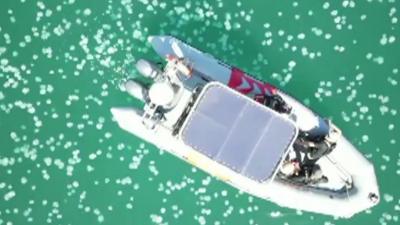 Swarm of jellyfish surround a boat in Haifa Bay