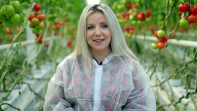 BBC Click reporter Jen Copestake stands in front of tomatoes being grown in a low carbon heated greenhouse