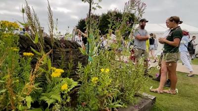 weed garden