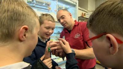 Pupils in pet shop