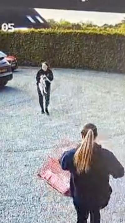 CCTV footage of a woman holding a cat walking towards a woman holding a red crate 