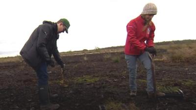 Conservation volunteers at work