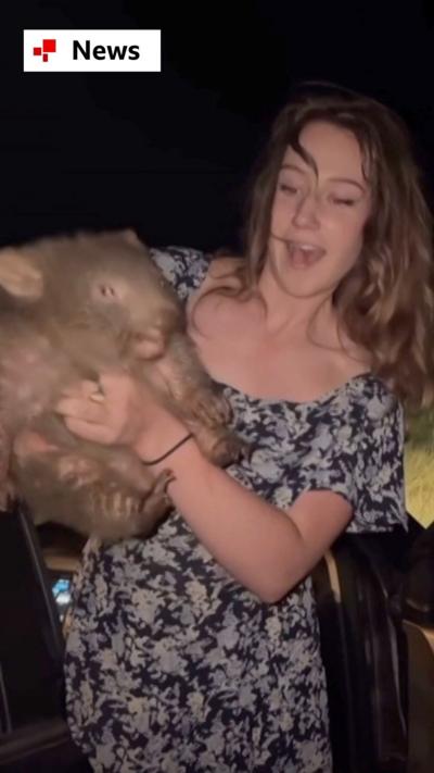 Woman wearing a summer dress, outside her car holding wombat in the dark