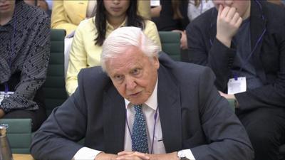 Sir David Attenborough