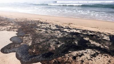 beach-covered-in-oil