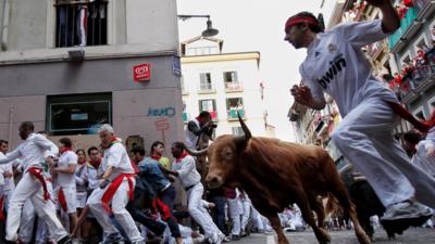 Running with the bulls