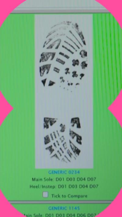 Image of a footprint in a white square on a green computer screen.
