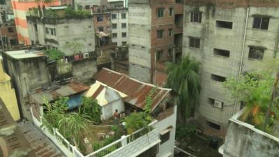 The cattle farm on a rooftop