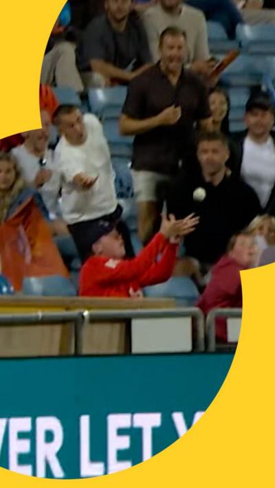 Young fan makes crowd catch while sitting down