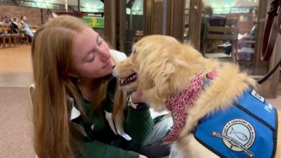 Comfort dogs visit Michigan State