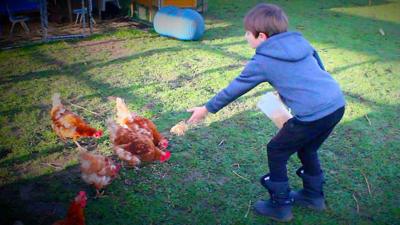 George feeding chickens