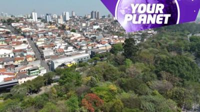 A picture of a forest and a city with the Your Planet logo