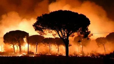 Fire raging in La Penuela, Huelva province, 24 June 2017